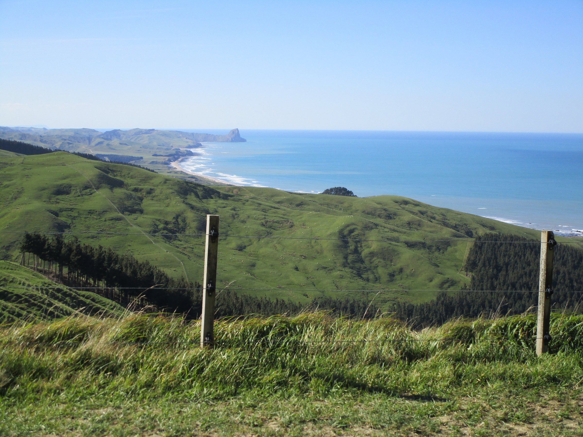 Whareama hill country dropping toward the Pacific coast