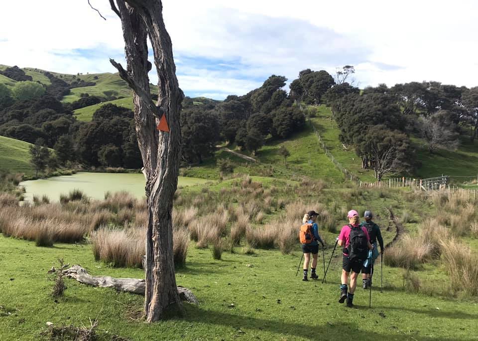 Walkers crossing open Whareama farm country