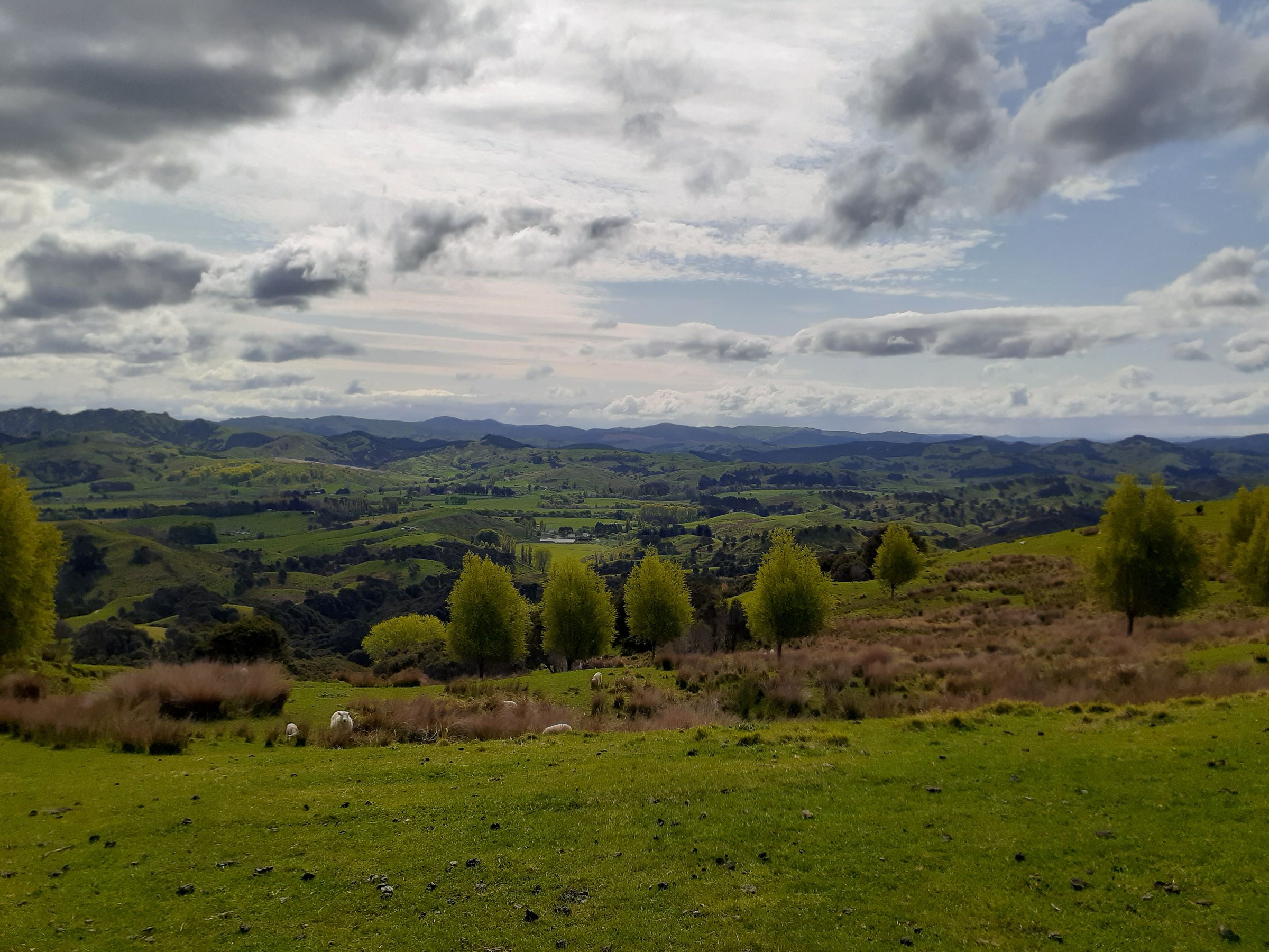 Wide rural view across Whareama hill country