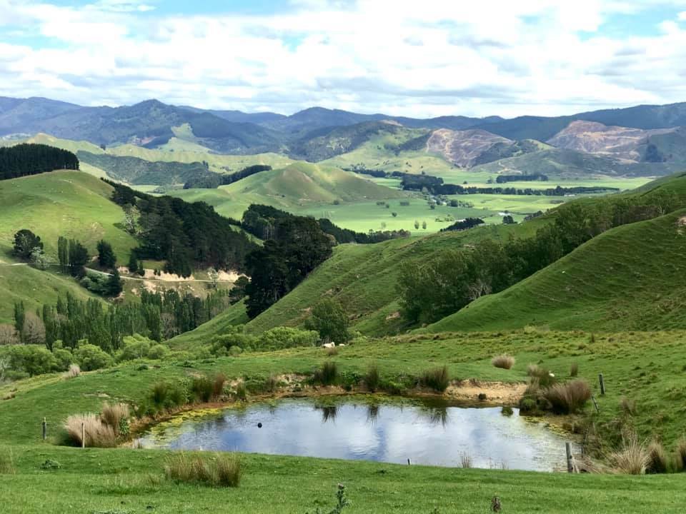 Long views across green hill country and a farm pond